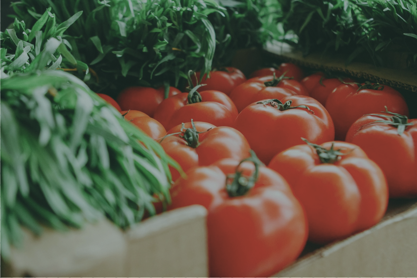 Seasonality of the US-MX Freight Market: What to Expect During the Summer Months