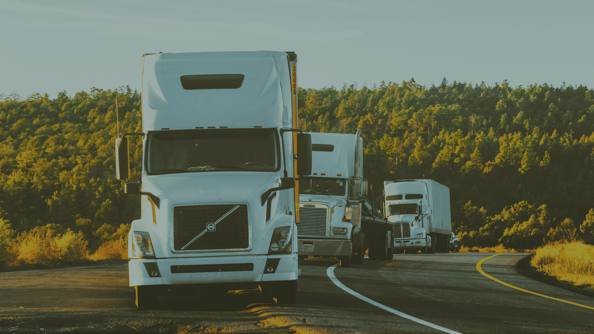 Risks That Can Result In Your Cargo Being Delayed At Customs