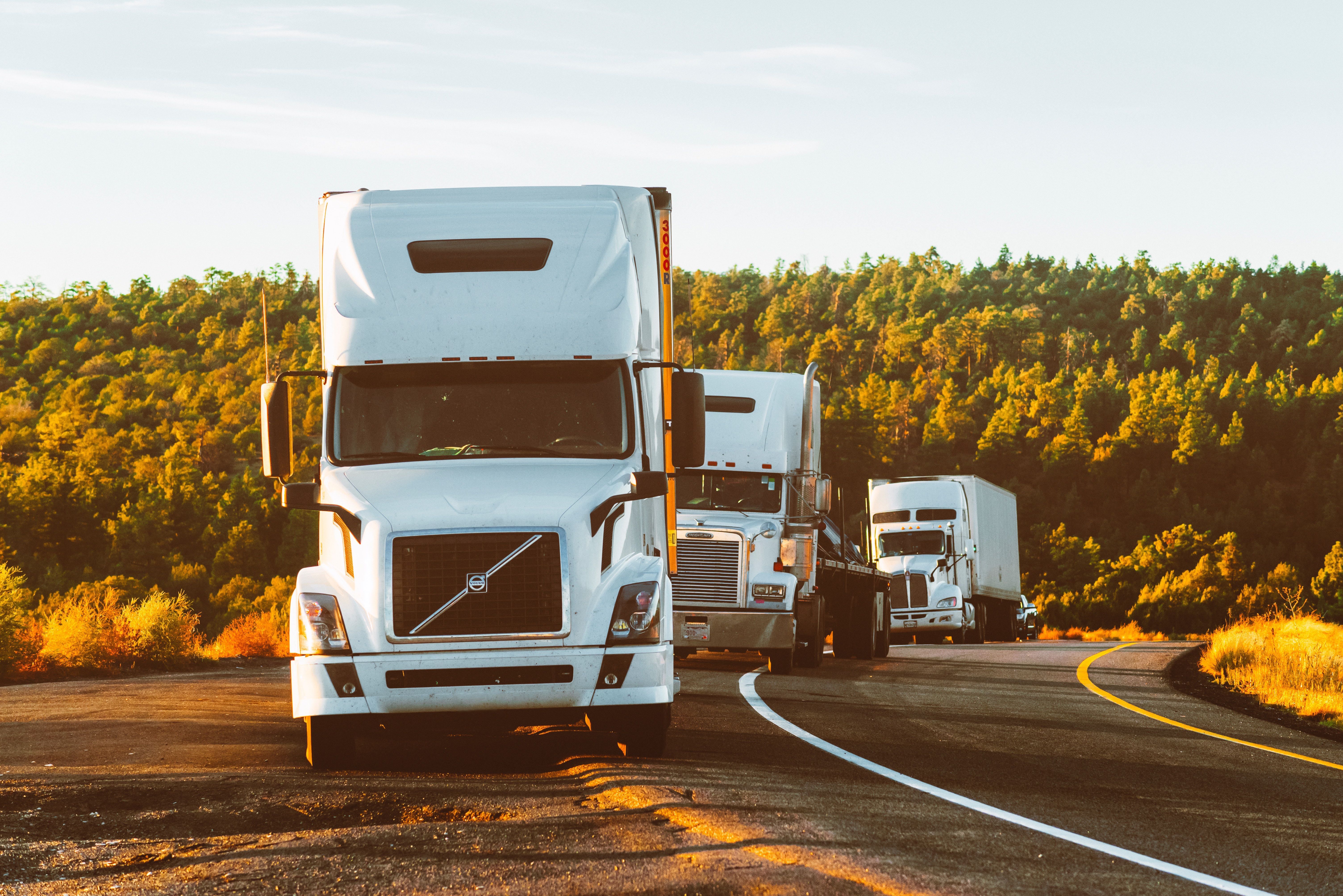 International Roadcheck 2021: What to Expect