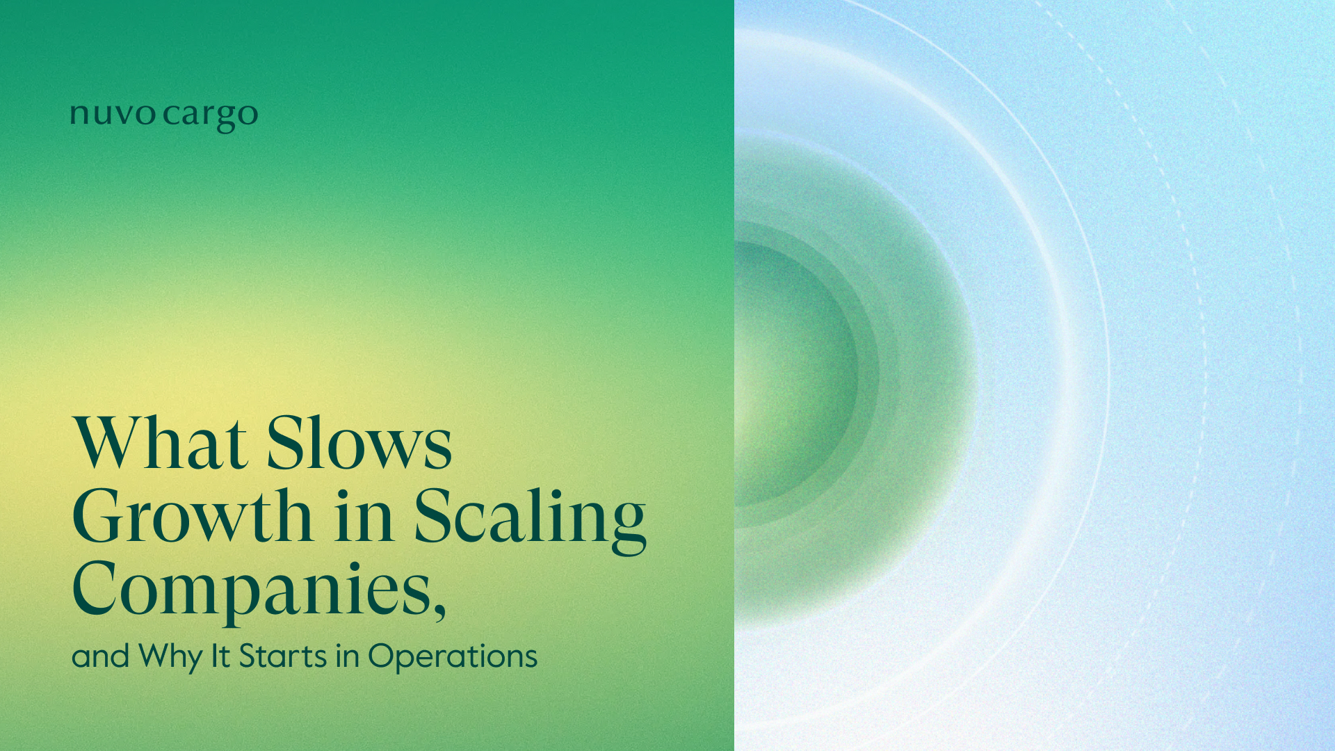 Why Scaling Companies Fail in Operations (Not Sales)
